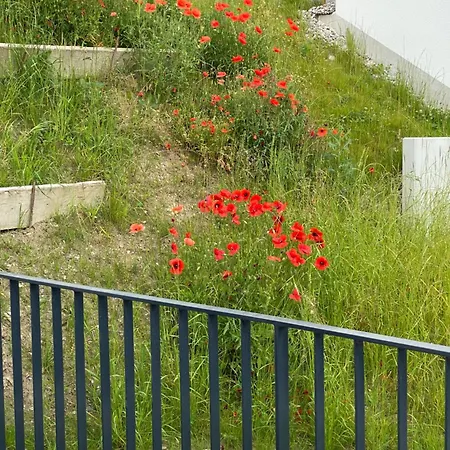 Upper Floor Oberburg